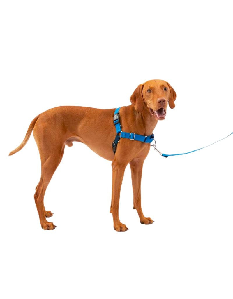PETSAFE Easy Walk No-Pull Harness Royal
