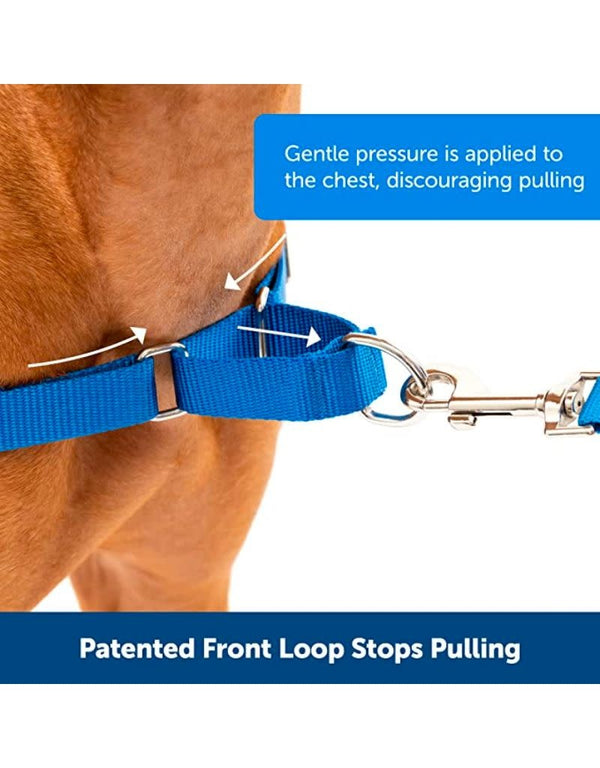 PETSAFE Easy Walk No-Pull Harness Royal