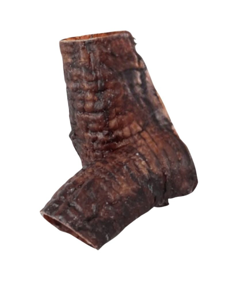 FISH & BONE Bison Trachea