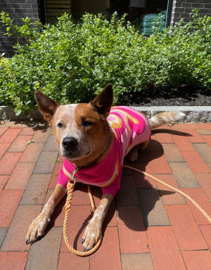 TOBY & LINUS Dog Sweater Pink Lemonade