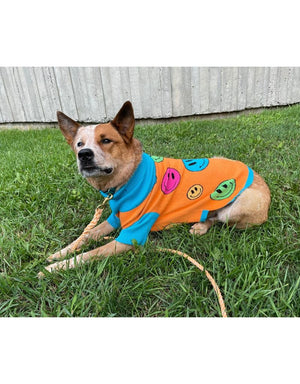 TOBY & LINUS Dog Sweater How Are You Feeling?