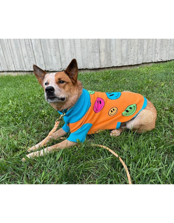 TOBY & LINUS Dog Sweater How Are You Feeling?