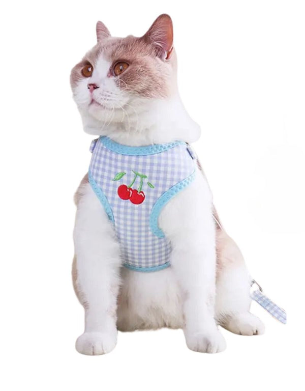 TOBY SUPPLY Cherries Leash + Harness Set