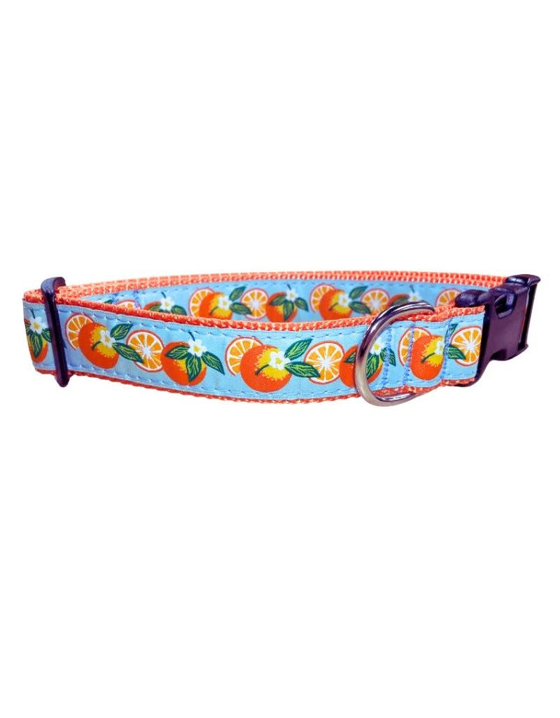 PRESTON Dog Collar Oranges