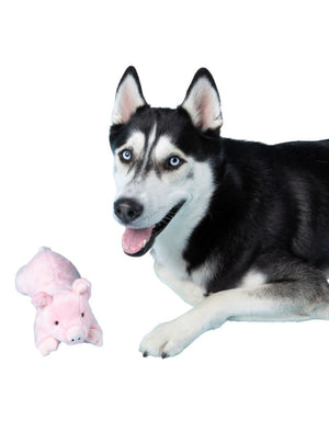 FLUFF & TUFF Petey Pig