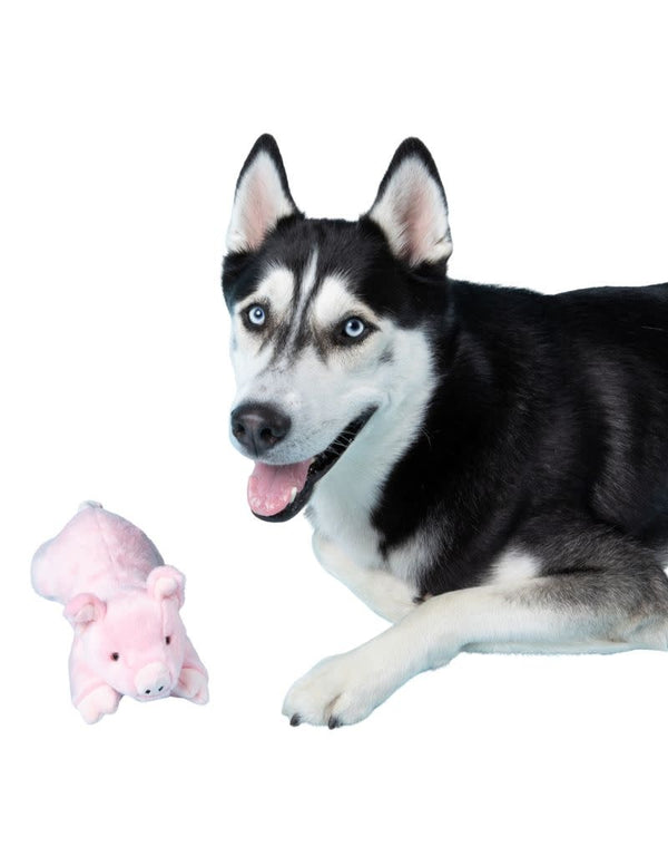 FLUFF & TUFF Petey Pig