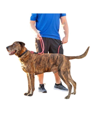 MOUNTAIN DOG Clip Leash