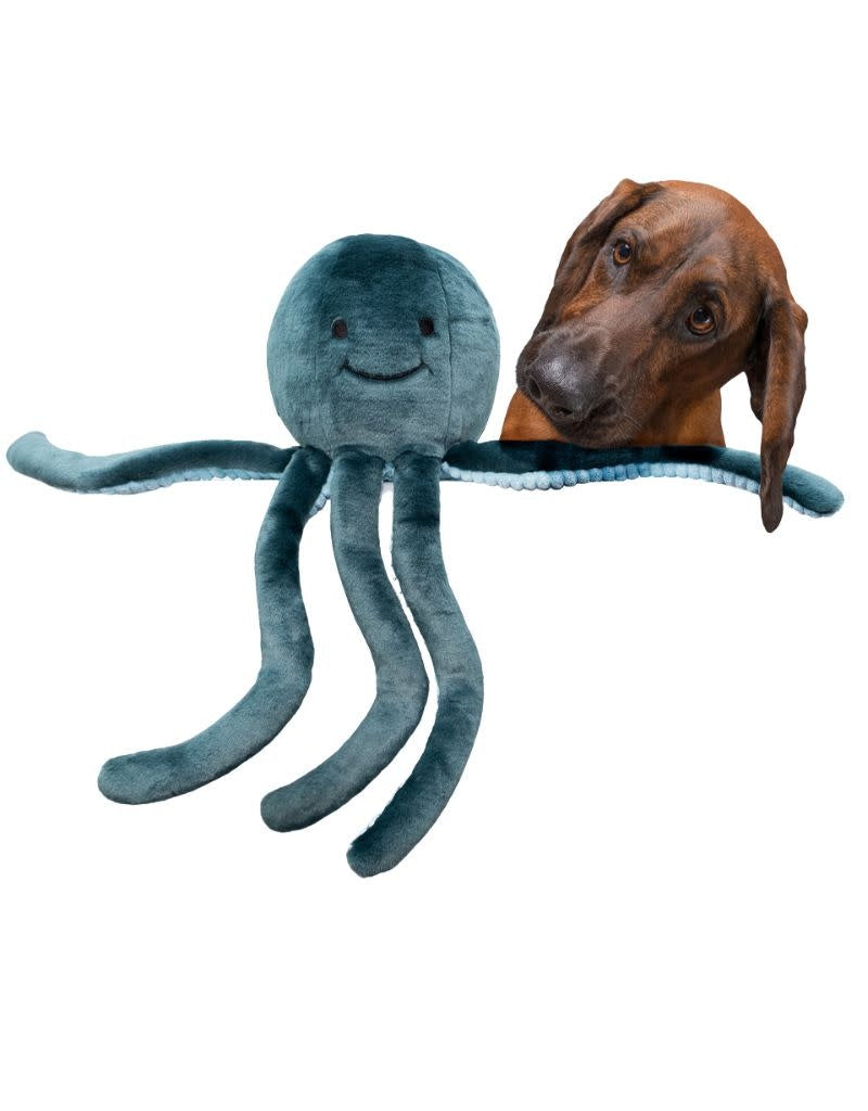 FLUFF & TUFF Stevie Octopus