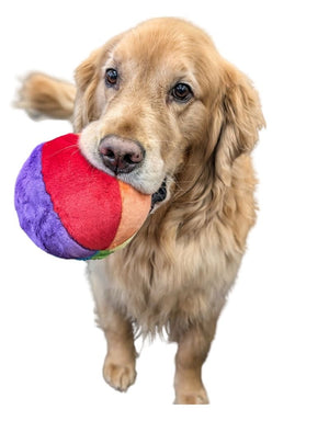 FLUFF & TUFF Mini Beach Ball