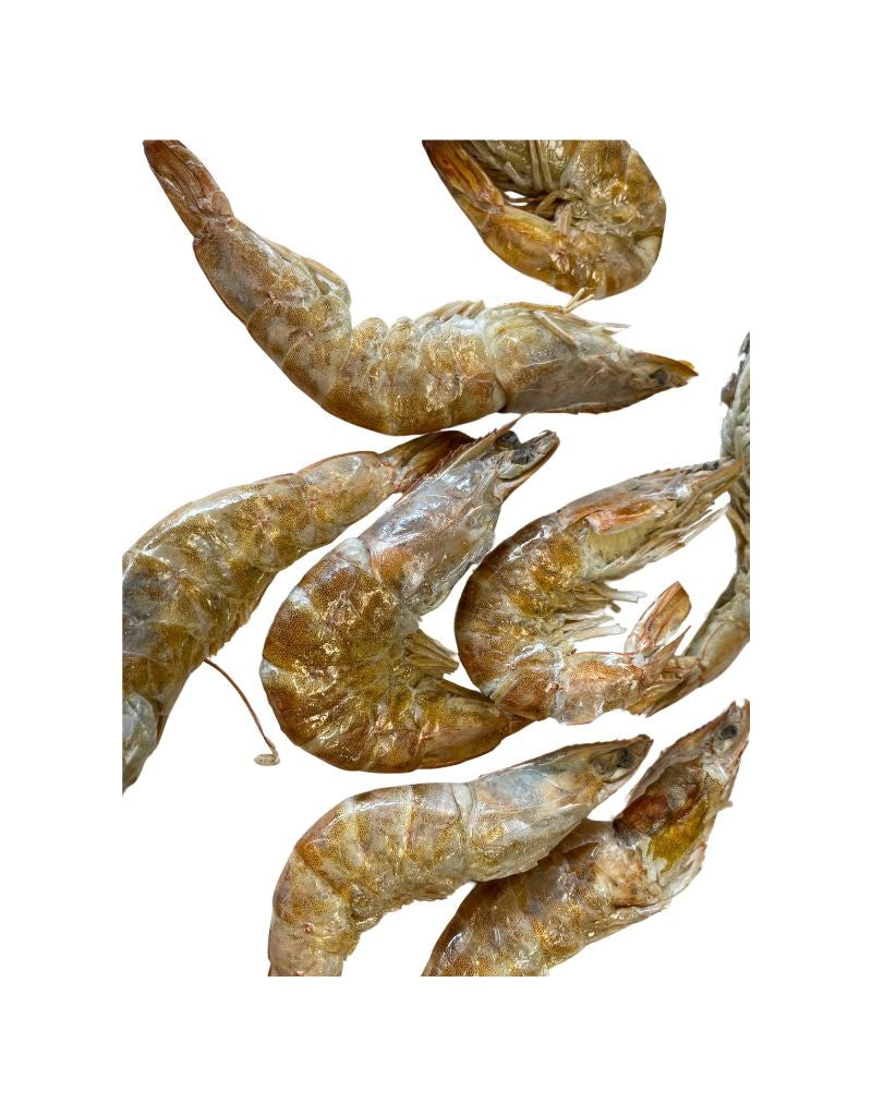 FISH & BONE Freezedried Shrimp