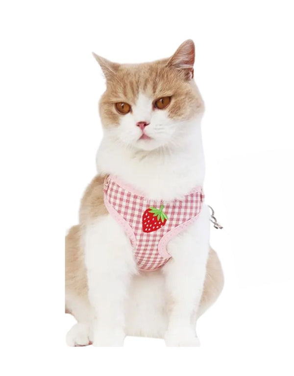 TOBY SUPPLY Strawberry Leash + Harness Set