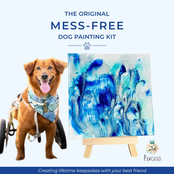 PAWCASSO ART CO Mess-Free Dog Painting Kit