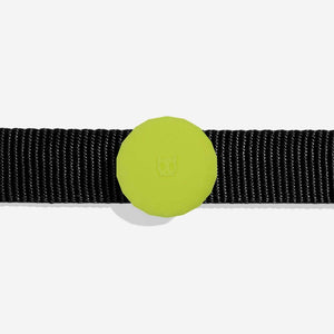 ZEE.DOG  AirTag Holder Lime