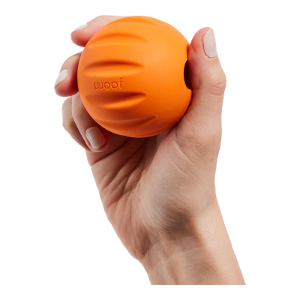 WOOF Forager Flyball