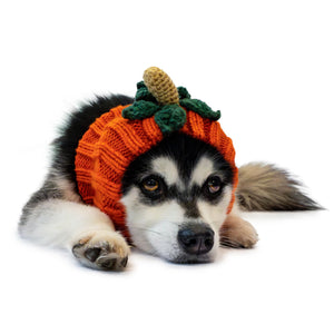 ZOO SNOODS Pumpkin Dog Snood