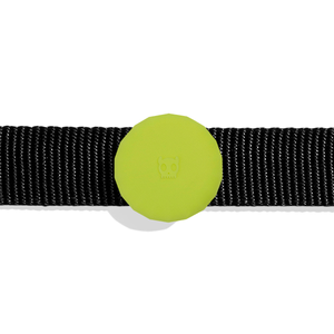 ZEE.DOG  AirTag Holder Lime