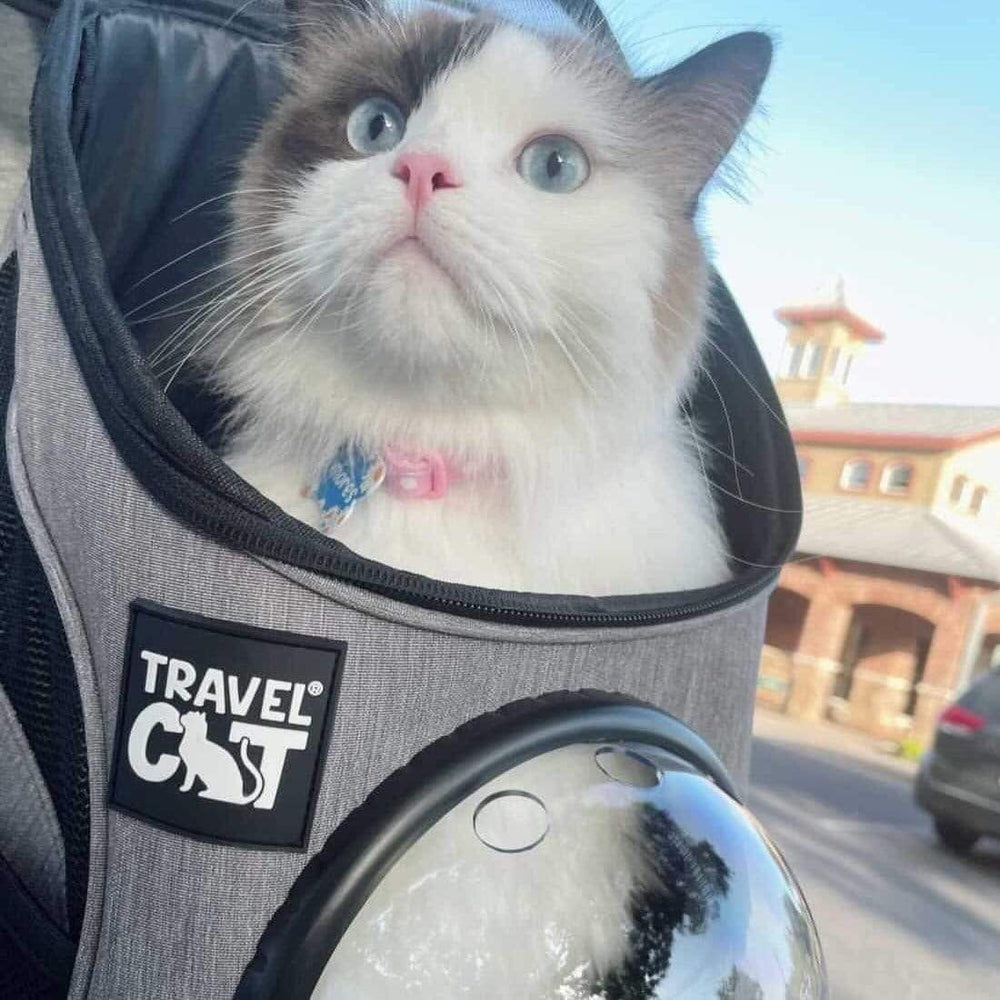TRAVEL CAT Fat Cat Backpack Mini Heather