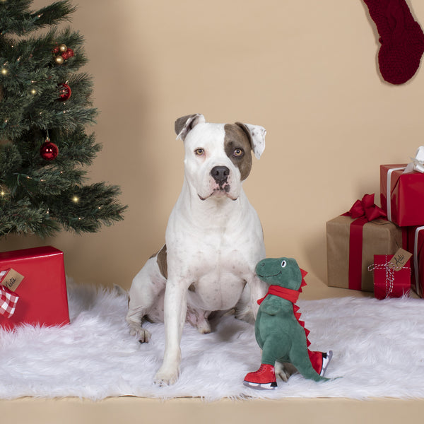 FRINGE Ice Skating T-Rex Toy