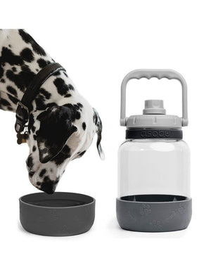 FISH & BONE Barkley Water Bottle