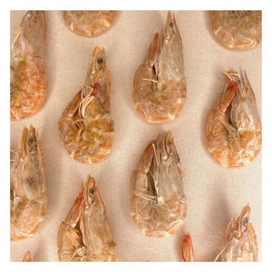 FISH & BONE Freezedried Shrimp