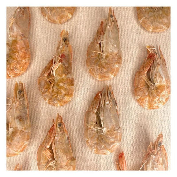 FISH & BONE Freezedried Shrimp