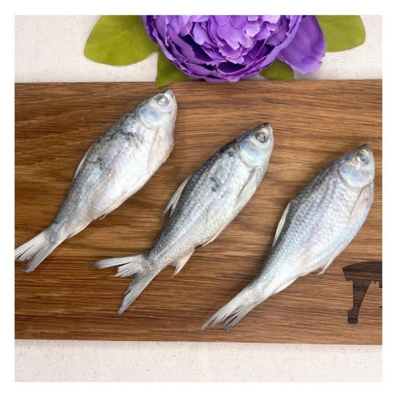 FISH & BONE Wild Caught Baby Carp