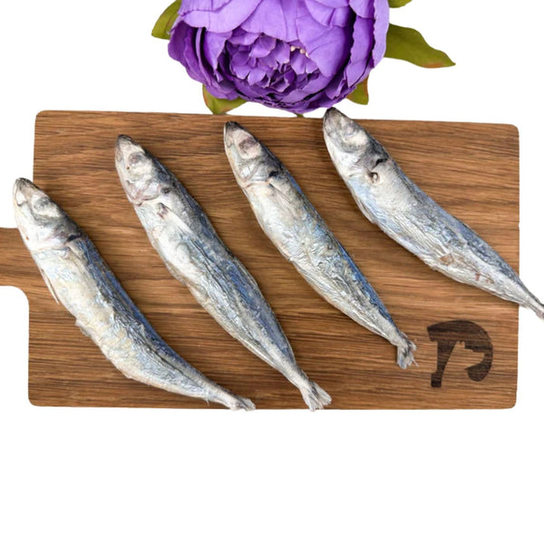 FISH & BONE Wild Caught Round Scad