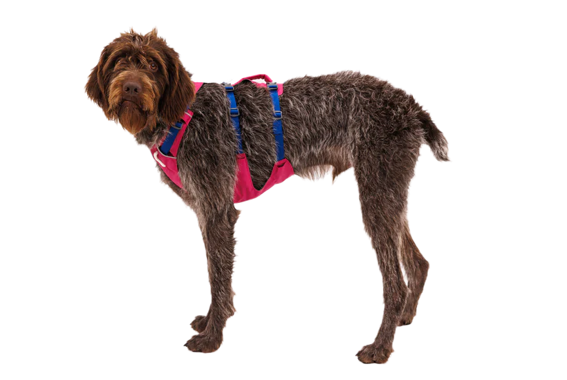 RUFFWEAR Flagline Harness  Alpenglow Pink