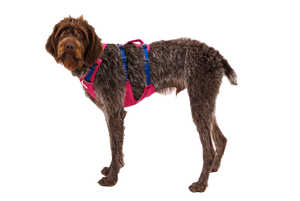 RUFFWEAR Flagline Harness  Alpenglow Pink