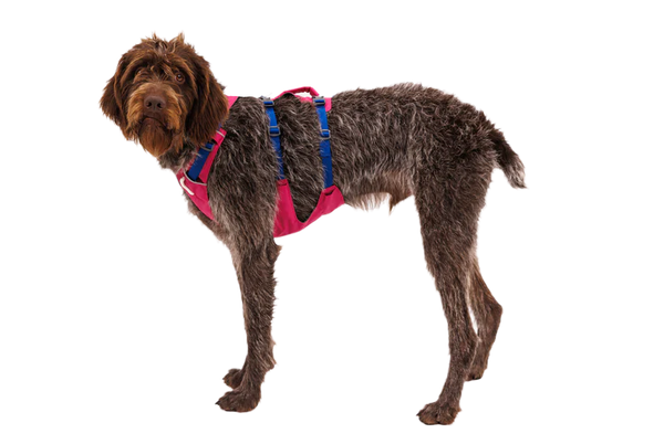 RUFFWEAR Flagline Harness  Alpenglow Pink