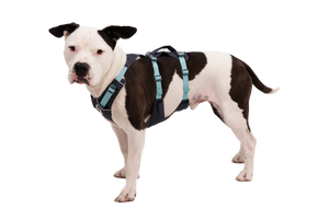 RUFFWEAR Flagline Harness  Basalt Gray