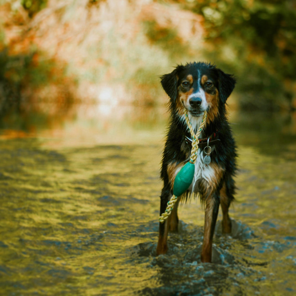 WASHASHORE Float Rope Toy