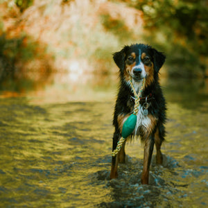 WASHASHORE Float Rope Toy