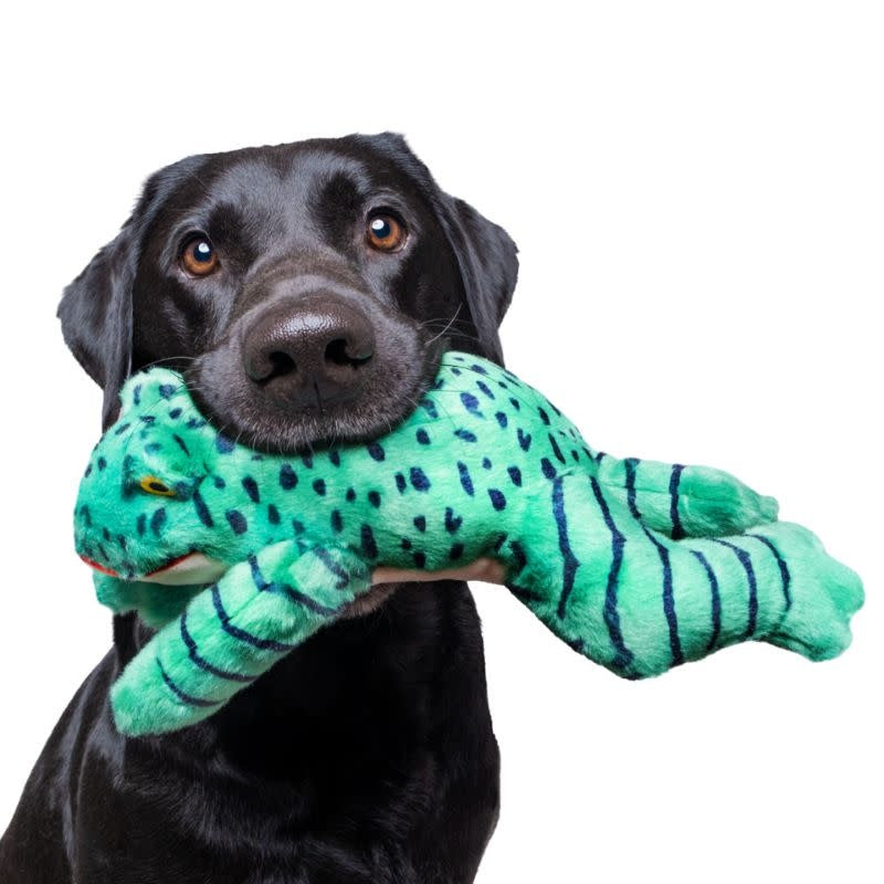 FLUFF & TUFF Oliver Frog