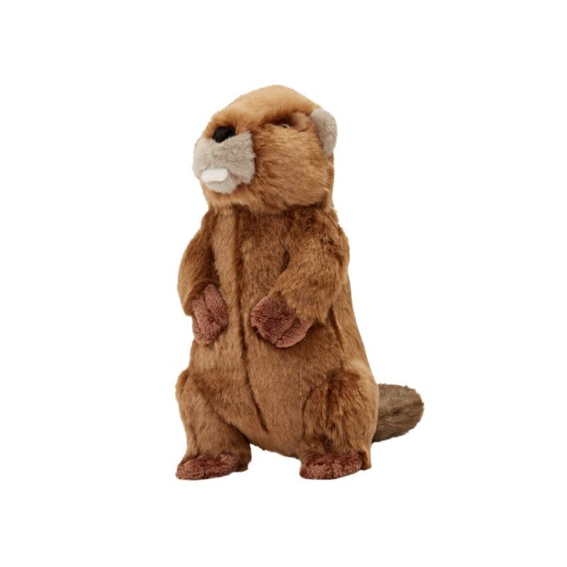 FLUFF & TUFF Troy Beaver