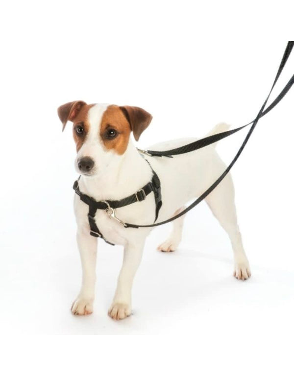 2 HOUNDS DESIGN Freedom No-Pull Harness and Leash Black and Silver