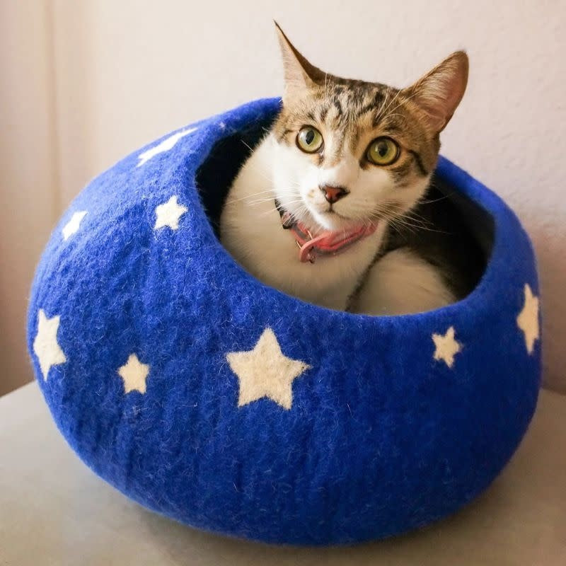 FRIENDSHEEP Midnight Stars Eco Kitty Cave