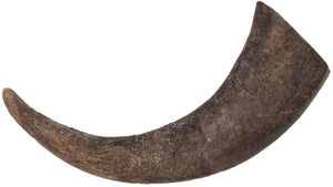 DIGGIN YOUR DOG Buba Water Buffalo Horn