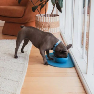 FUZZYARD LIFE Silicone Feeding Mat