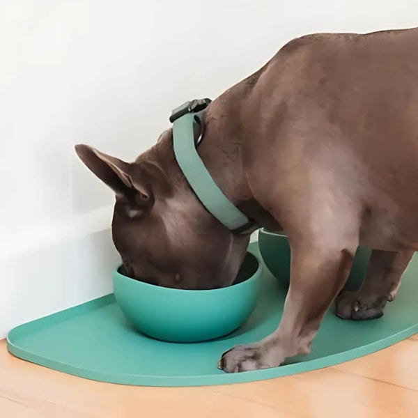 FUZZYARD LIFE Silicone Feeding Mat