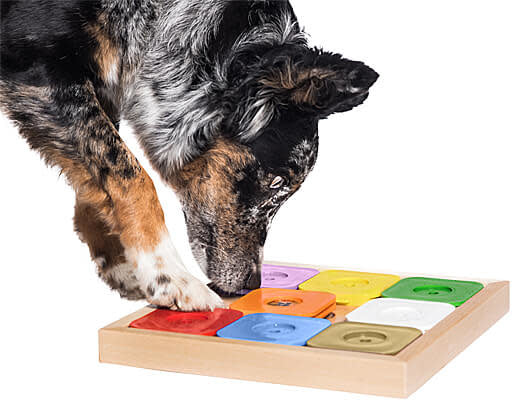 MY INTELLIGENT PETS Dog Sudoku Medium Expert Rainbow