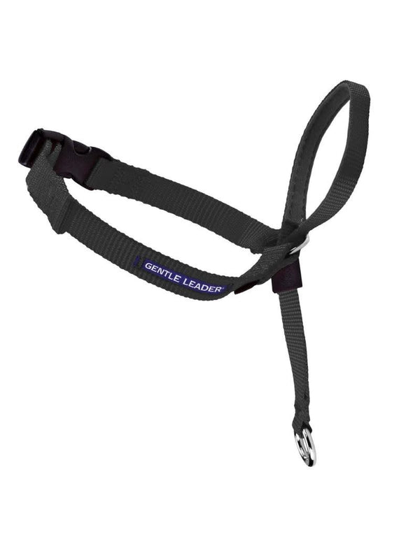 PETSAFE Gentle Leader No-Pull Head Collar Black