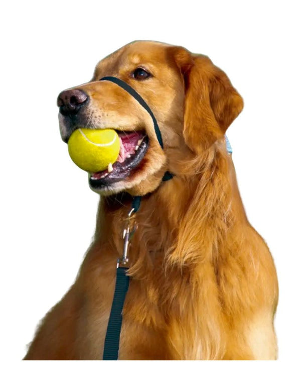 PETSAFE Gentle Leader No-Pull Head Collar Black