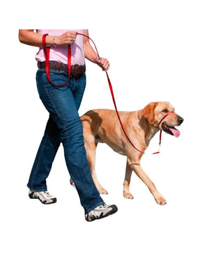 PETSAFE Gentle Leader No-Pull Head Collar Red