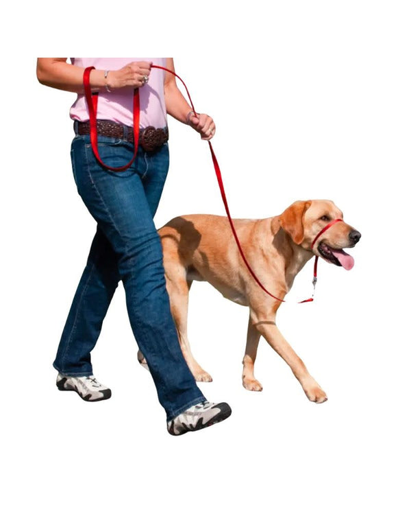 PETSAFE Gentle Leader No-Pull Head Collar Red
