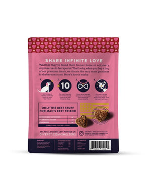 GIVEPET Spice Dog Treats 6OZ