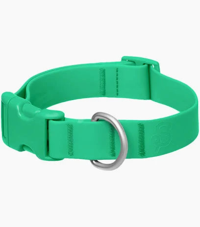 SPRINGLAND Waterproof Dog Collar Green/Sky