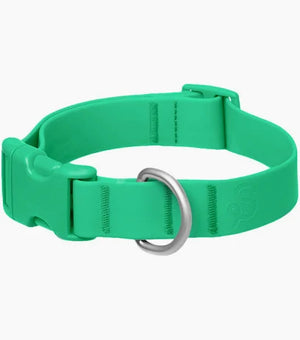SPRINGLAND Waterproof Dog Collar Green