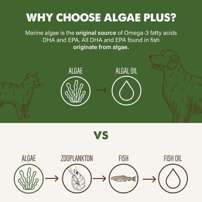 GRIZZLY Dog Cat Algae Oil 16OZ