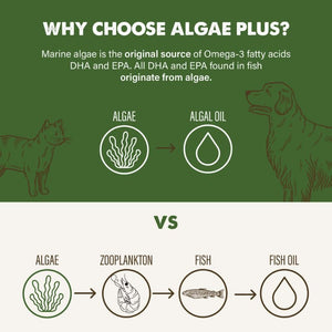 GRIZZLY Dog Cat Algae Oil 16OZ